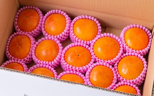 【先行予約】西見柿農園 富有柿 12玉から15玉 2025年11月下旬から12月上旬 出荷予定