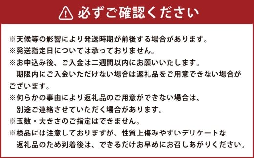【先行予約】西見柿農園 富有柿 9玉から11玉 (約3kg) 【2026年11月上旬-12月上旬発送予定】 柿 かき カキ 果物 くだもの フルーツ 果実 ジューシー お取り寄せ 福岡県 うきは市