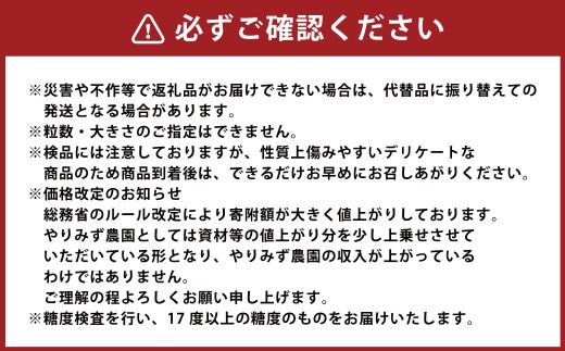 【先行予約】 やりみず農園 種なし 巨峰 2房から3房（約1kg） 【2026年8月上旬～下旬発送予定】 種なし巨峰 ぶどう ブドウ 葡萄 くだもの 果物 フルーツ 果実 福岡県 うきは市