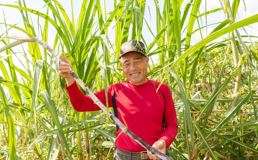 アグリファームさいとう 手作り黒蜜 さとうきび 黒蜜 うきは市