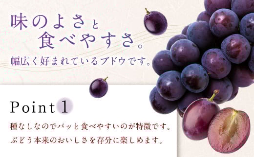【先行予約】 宝玉農園 ピオーネ 5房～7房 （約3kg） 【2026年8月下旬～9月上旬より順次発送予定】 葡萄 ぶどう ブドウ 大粒 種無し 種なし 果物 くだもの フルーツ 果実 お取り寄せ 福岡県 うきは市 冷蔵