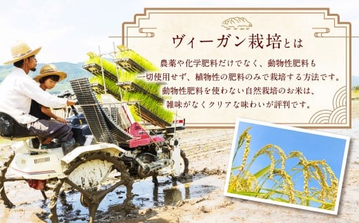 自然栽培 ひのひかり 玄米 5kg 【2025年10月下旬より発送予定】 米 お米 ご飯  うきは市
