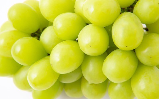 【先行予約】シャインマスカット 2房から3房 (約1.6kg) 【2025年9月上旬発送予定】 シャインマスカット 果物 フルーツ うきは市