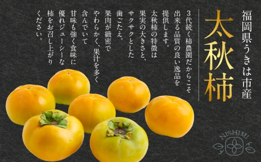 特選太秋柿 3玉 （ 約1kg ） 贈答用 ギフト 太秋柿 柿 フルーツ 果物 ギフト 完熟 【 2026年11月上旬～12月上旬発送予定 】