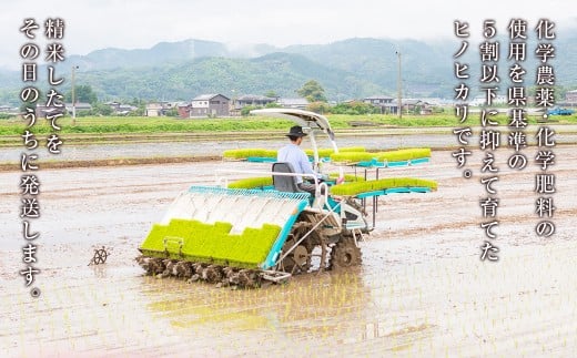【6か月定期便】 無洗米 野上米 5㎏×6回 計30kg