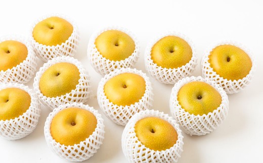 【先行予約】 梨の山茂梨園 あきづき梨 5玉から7玉（約2.5kg）【2026年9月上旬～下旬発送予定】 梨 なし ナシ 果物 くだもの フルーツ 果実 果汁 5玉 7玉 あきづき