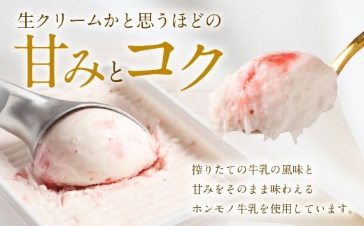 ソルベッチdoうきは ジェラート500ml×3個セット フルーツ ミルク スイーツ デザート ジェラート シャーベット アイス いちごミルク ブルーベリーミルク オリーブ塩ミルク お茶 セット 冷凍 福岡県 うきは市