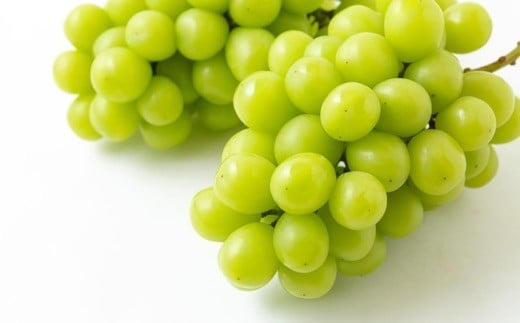 【先行予約】 原茂之巨峰園 シャインマスカット 4房から5房 （約2kg） 【2026年8月下旬～9月下旬より順次発送予定】 葡萄 ぶどう ブドウ 種無し 種なし 大粒 果物 くだもの フルーツ 果実 ミネラル ジューシー 朝採り発送 流川ブランド お取り寄せ 福岡県 うきは市 冷蔵