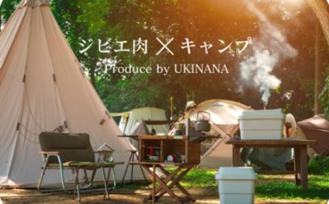 【ジビエ】 肉汁溢れる ジビエ肉 ハンバーグ 180g×4個 ジビエハンバーグ ジビエ ジビエ料理 ジューシー 猪肉 鹿肉 アナグマ肉 おかず 惣菜 お弁当 BBQ バーベキュー キャンプ キャンプ飯 加工食品 お取り寄せ 福岡県 うきは市