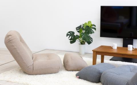 九州イノアック ゆったり寛げる『大人の贅沢座椅子』(アースブラウン) リクライニング機能付き 座椅子 椅子 いす 低反発 高反発 ウレタン 大きめサイズ リクライニング 家具 インテリア 九州 福岡県 うきは市