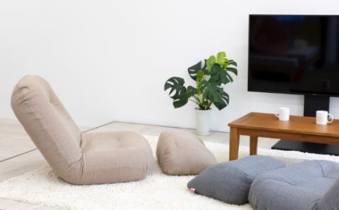 【14日営業日以内発送】九州イノアック フレキシブルに使えるクッション『フレック』(アースブラウン) クッション 自由自在 多用途 ウレタン 枕 アームクッション 足枕 九州 福岡県 うきは市