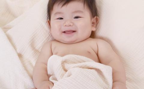 KONOITO 5層織りガーゼケットシングル ガーゼケット シングル ガーゼ 吸水性 5層織 毛布 出産祝い 結婚祝い お祝い 九州 福岡県 福岡 ふくおか うきは市