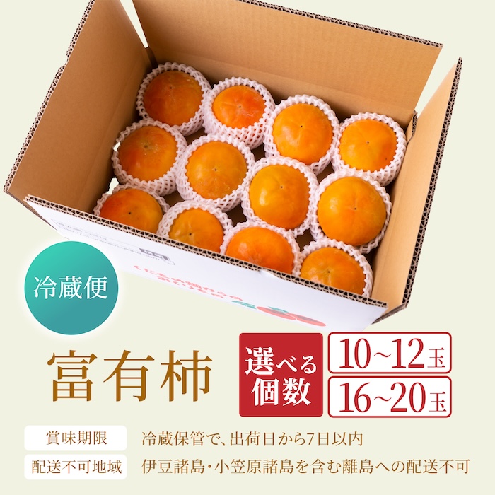 【先行予約】有機配合肥料使用 冷蔵富有柿 10玉から12玉 2025年12月中旬から2026年1月下旬 出荷予定【春光園】 柿 かき 甘柿 甘い 果物 フルーツ