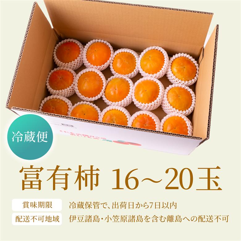 【先行予約】有機配合肥料使用 冷蔵富有柿 16玉から20玉 2025年12月中旬から2026年1月下旬 出荷予定【春光園】 柿 かき 甘柿 甘い 果物 フルーツ