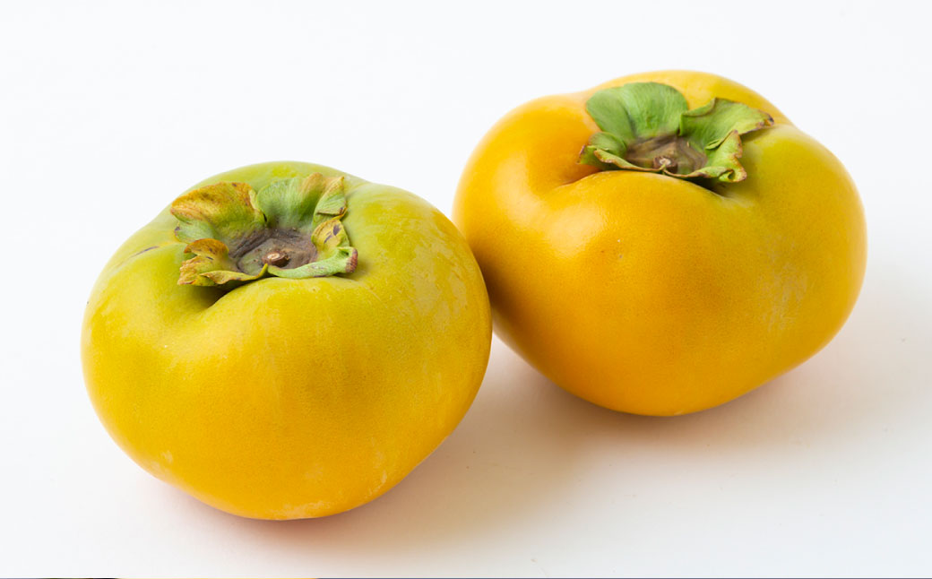 西見柿農園 太秋柿のドライフルーツセット(70g×1袋・20g×4袋)