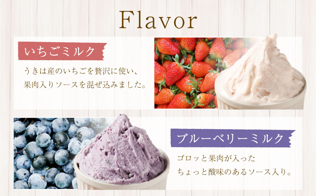 ソルベッチdoうきは ジェラート500ml×2個セット フルーツ ミルク スイーツ デザート ジェラート シャーベット アイス いちごミルク ブルーベリーミルク セット 冷凍 福岡県 うきは市