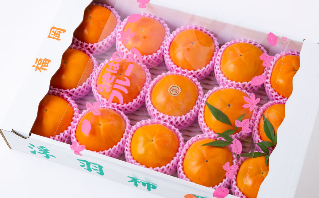 【先行予約】道の駅うきは 冷蔵富有柿 8玉から9玉 2025年12月中旬から2026年1月下旬 出荷予定