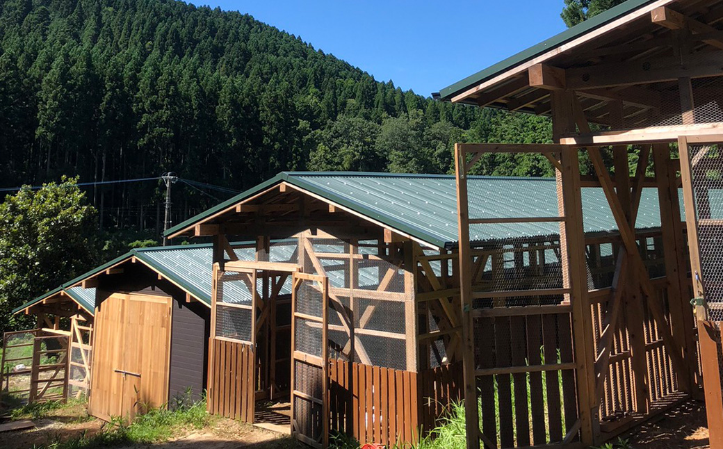 iTo farm 酵の鶏 40個