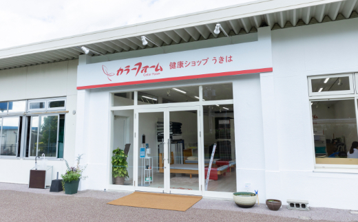 【14日営業日以内発送】九州イノアック 抱き枕 『Luna』 三日月型 抱きまくら だきまくら ウレタン 低反発 クッション 腰当て 授乳クッション 九州 福岡県 うきは市