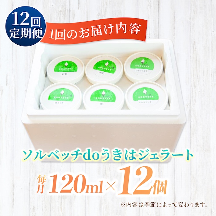 【12回定期便】果樹園が作る 素材の味を楽しめる 旬のジェラート 120ml×12個セット【ソルベッチdoうきは】着色料不使用 ノンホモ牛乳使用 ジェラート アイス 旬 スイーツ 詰め合わせ セット シャーベット ミルク フルーツ デザート 定期便
