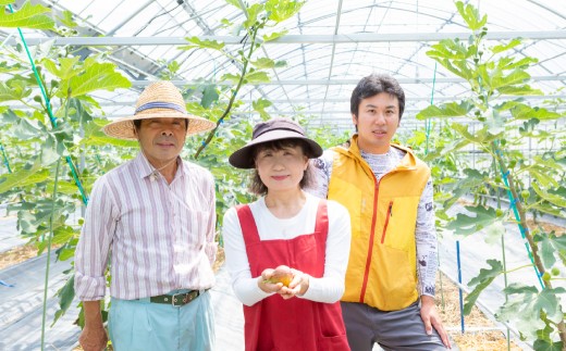 いちじく（とよみつひめ）8パック【2026年7月下旬～8月下旬発送予定】 いちじく フルーツ 果物 くだもの 冷蔵 福岡県 うきは市