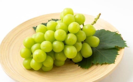 【先行予約】 原茂之巨峰園 シャインマスカット 4房から5房 （約2kg） 【2026年8月下旬～9月下旬より順次発送予定】 葡萄 ぶどう ブドウ 種無し 種なし 大粒 果物 くだもの フルーツ 果実 ミネラル ジューシー 朝採り発送 流川ブランド お取り寄せ 福岡県 うきは市 冷蔵