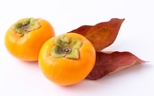 【先行予約】西見柿農園 冷蔵富有柿 12玉から15玉 2025年12月中旬から2026年1月下旬 出荷予定