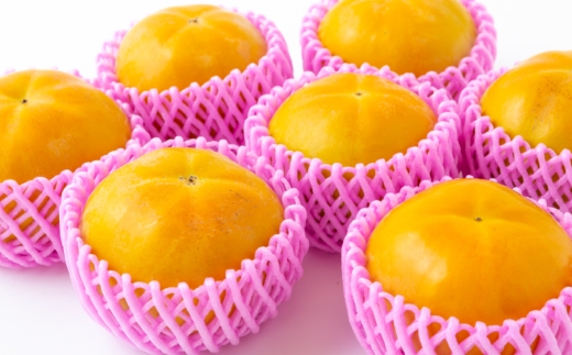 特選太秋柿 3玉 （ 約1kg ） 贈答用 ギフト 太秋柿 柿 フルーツ 果物 ギフト 完熟 【 2026年11月上旬～12月上旬発送予定 】