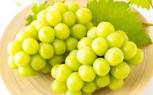 【先行予約】 やりみず農園 農家厳選！ シャインマスカット 2房から3房（約1kg） 【2026年8月下旬～9月上旬発送予定】 シャインマスカット ぶどう ブドウ 葡萄 くだもの 果物 フルーツ 果実 福岡県 うきは市