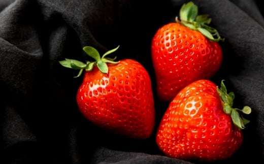 千年いちご スーパープレミアム あまおうイチゴ (450g) 3月お届け あまおう いちご イチゴ 苺 フルーツ 果物 冷蔵 送料無料 福岡県 うきは市 【2026年3月より順次発送予定】