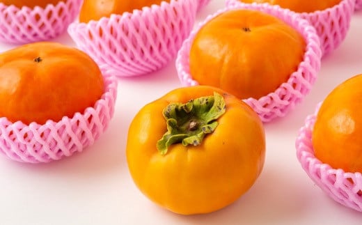 【先行予約】 渡辺農園 早秋柿 12玉から15玉 【2025年9月下旬から10月上旬 出荷予定】 柿 かき カキ 早秋 そうしゅう 果物 くだもの フルーツ 果実 ジューシー お取り寄せ 福岡県 うきは市