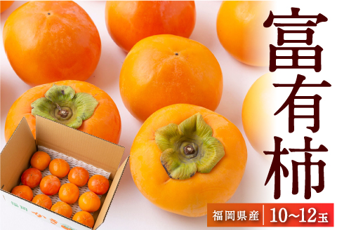 【先行予約】江藤農園 富有柿 10玉から12玉(約3kg) 2025年11月中旬から11月下旬 出荷予定