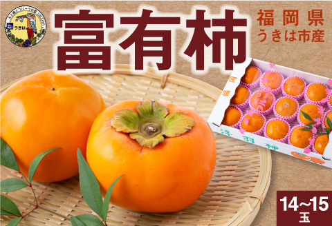 【先行予約】道の駅うきは 富有柿 14玉から15玉 2025年11月中旬から11月下旬 出荷予定