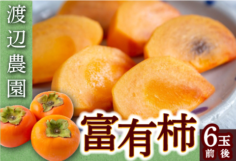 【先行予約】渡辺農園 富有柿 6玉前後 2025年11月中旬から12月上旬 出荷予定