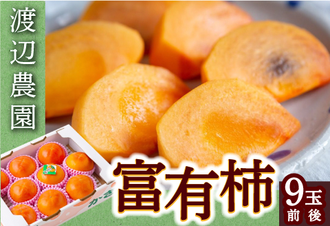 【先行予約】渡辺農園 富有柿 9玉前後 2025年11月中旬から12月上旬 出荷予定