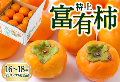 逸品富有柿 16玉から18玉 2Lサイズ (約5kg) 【2025年11月下旬-2025年12月上旬発送予定】 柿 果物 フルーツ うきは市