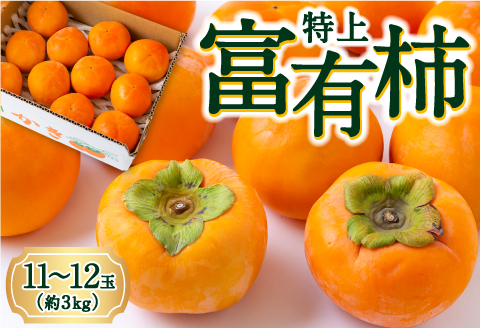 逸品富有柿 11玉から12玉 (約3kg) 【2025年11月下旬-2025年12月上旬発送予定】 柿 果物 フルーツ うきは市