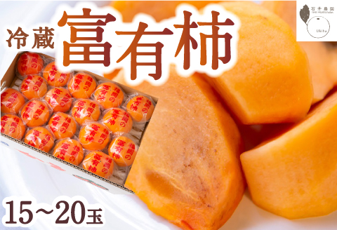 石井農園 冷蔵富有柿 15玉から20玉 2025年12月中旬から2026年3月31日 出荷予定