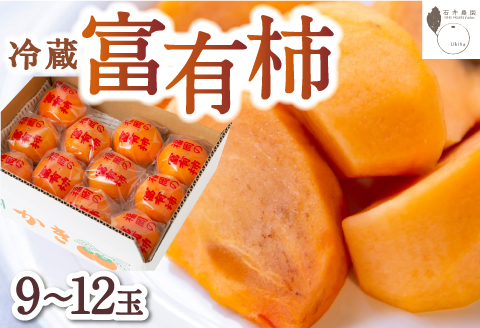 石井農園 冷蔵富有柿 9玉から12玉 2025年12月中旬から2026年3月31日 出荷予定