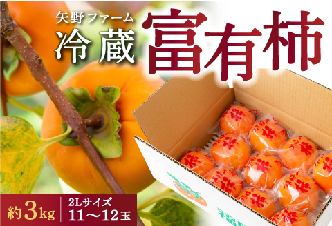 【先行予約】矢野ファーム 冷蔵富有柿 (2Lサイズ) 11玉から12玉 (約3kg) 2025年12月中旬から2026年1月10日 出荷予定