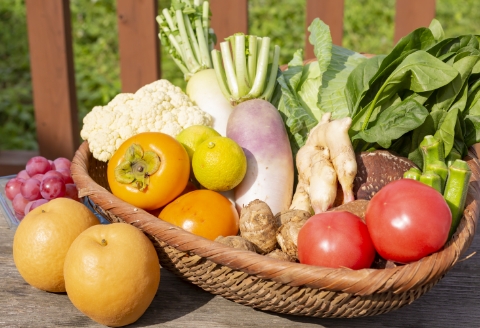 【年4回定期便】うきは特別便 季節の特産品詰め合わせ 各2kg×4回 (1月・6月・8月・11月) お届け