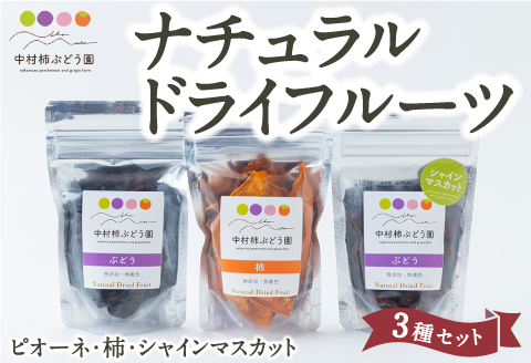 中村柿ぶどう園 ナチュラルドライフルーツ 3種セット (ピオーネ・柿・シャインマスカット) 各約40g
