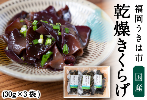 うきはきくらげ研究会 乾燥きくらげ (30g×3袋) きくらげ うきは市