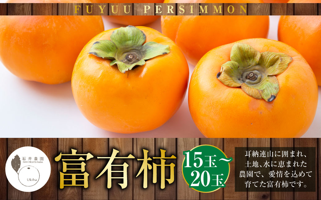 【先行予約】石井農園 富有柿 15玉から20玉 2025年11月中旬から12月上旬 出荷予定