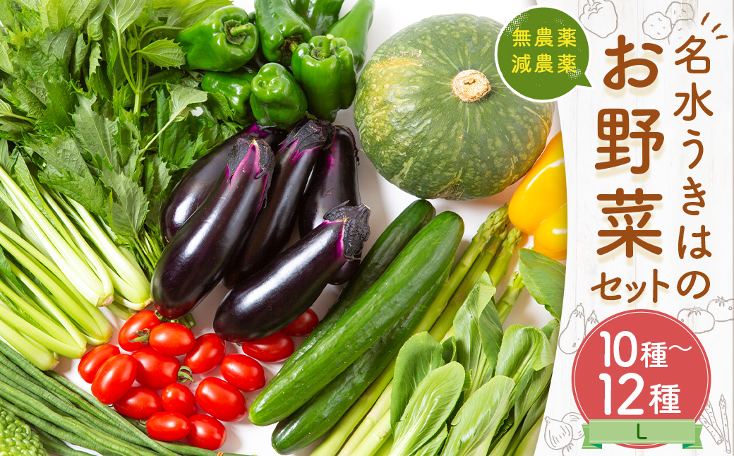 UIC 名水うきはの無農薬減農薬お野菜セットL