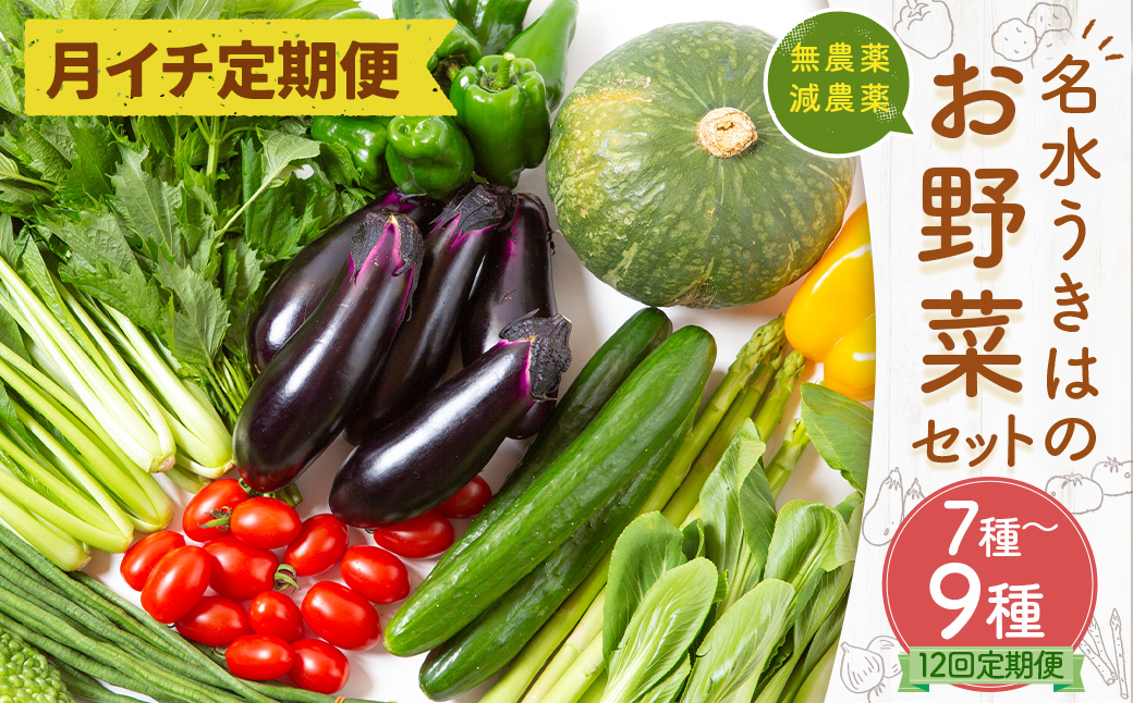 【月イチ定期便】UIC 名水うきはの無農薬減農薬お野菜セット (ひと月1箱×1年間=計12回)