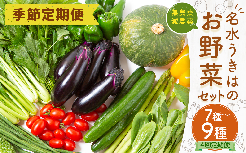 【季節定期便】UIC 名水うきはの無農薬減農薬お野菜セット (季節ごとに1箱×4回=年4回)
