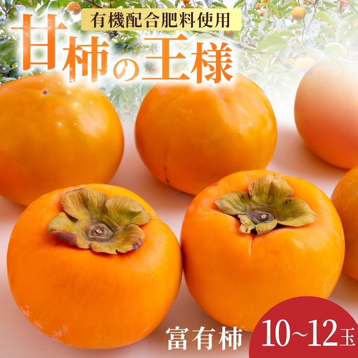 【先行予約】有機配合肥料使用 富有柿 10玉から12玉 2025年11月上旬から11月下旬 出荷予定【春光園】 柿 かき 甘柿 甘い 果物 フルーツ