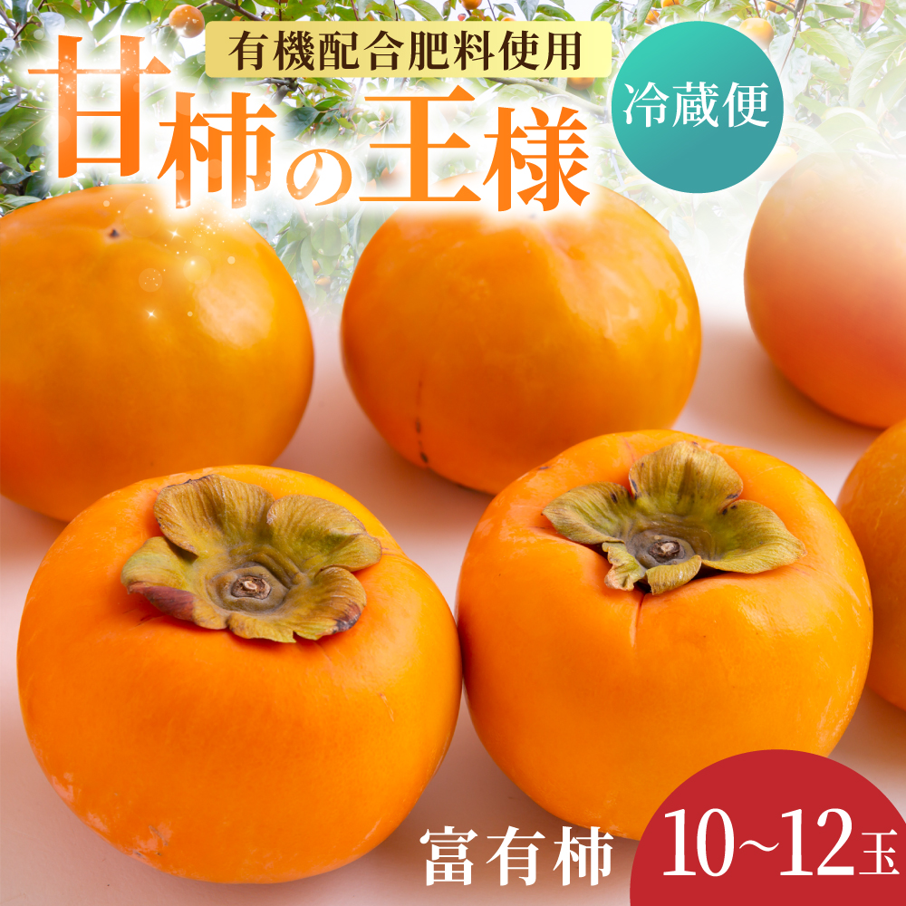 【先行予約】有機配合肥料使用 冷蔵富有柿 10玉から12玉 2025年12月中旬から2026年1月下旬 出荷予定【春光園】 柿 かき 甘柿 甘い 果物 フルーツ