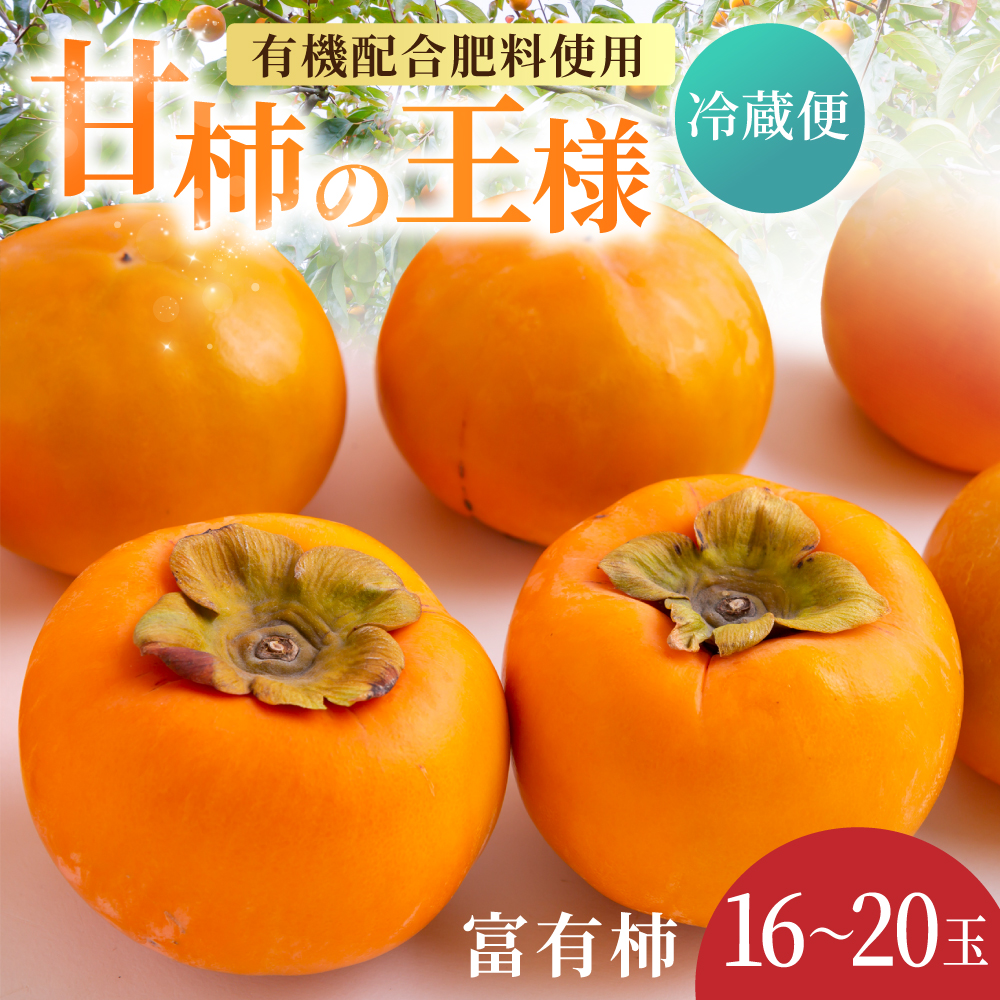 【先行予約】有機配合肥料使用 冷蔵富有柿 16玉から20玉 2025年12月中旬から2026年1月下旬 出荷予定【春光園】 柿 かき 甘柿 甘い 果物 フルーツ